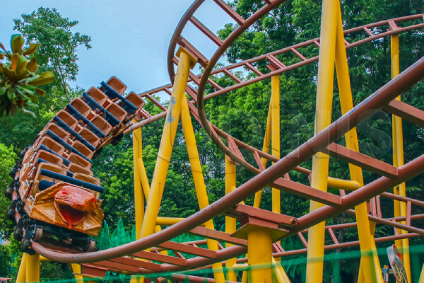 montagnes russes familiales en promotion