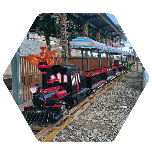 train à vapeur miniatures de jardin à vendre