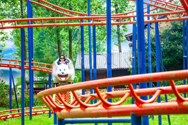 vente populaire de montagnes russes Crazy Mouse